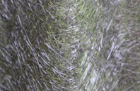 Haybridge fibreglass roof work